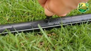 20 ตัว หัวพ่นละอองฝอยปรับได้ พร้อมขาปัก ยาว 12 ชม สำหรับการน้ำรอบทิศทาง 360 องศา สำหรับสายไมโคร ขนาด 5/7 มิล หัวน้ำหยด ขาปักน้ำหยด K FARM