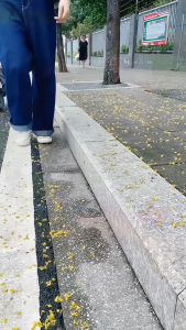 Camping Mat XPE Foldable Waterproof Moisture Proof Picnic Beach Hiking Portable Lightweight Seat Cushion Travel