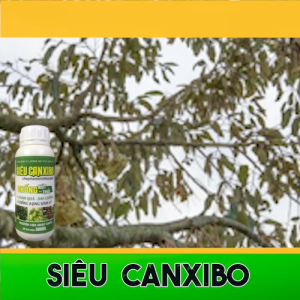 Siêu Canxibo chống nứt thối. Chai 500ml