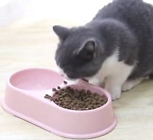 Tyra Pet Feeder 2 In 1 Double Bowls Dog Food Water Feeder Pet Drinking Dish Feeder Cat Puppy