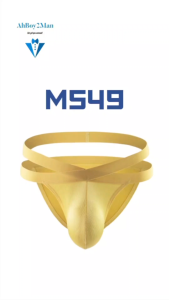 Mens Brief : Cross Strap Brief Underwear (Miboer M549)