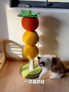 Cat posts Cat Tree Colorful Ball Climbing Sisal Pole Cat Playground Scratches Unassembled