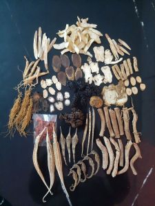 herbal alami 23 jenis herbal rendaman ciu atau madu