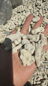 Karang Jahe Filter Aquarium Media Filter & pH Buffer Alami Stabilisator Ph Biologi Kimia Kolam