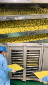 Tinh bột nghệ mật ong dạng viên thương hiệu Trung Huy foods hộp 500g viên nghệ vàng mật ong củ nghệ vàng hỗ trợ người đau dạ dày