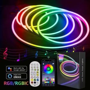 5M/10M Bluetooth 220V LED Neon Strip RGB Dimmable Smart Flexible Soft Led Tape IP67 LED Neon Strip Light SMD 5050 with Smart Control