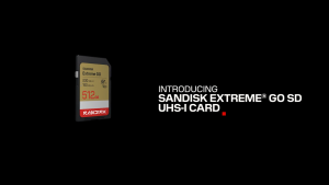 Sandisk Extrme GO UHS I SD Card 32GB 64GB 128GB 256GB 512GB DXGN MemoryPlusSG