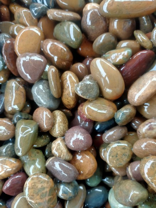 หินแม่น้ำโขง เบอร์ 3 วัสดุเพาะกล้าและกระตุ้นราก