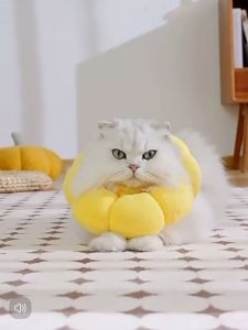 ปลอกคอแมว สุนัข หมา เอลิซาเบธปลอกคอกันเลีย คอลล่าสัตว์เลี้ยง หมอนรองคอ ที่กันเลียแผล ลำโพงแมว C20