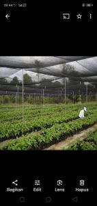 paranet 90% ukuran 3x1 3x2 3x3 3x4 3x5 3x6 3x7 3x8 3x9 3x10