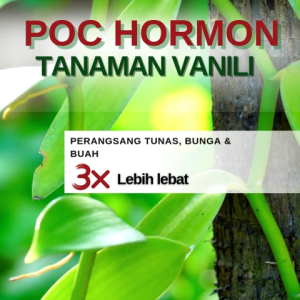 Pupuk organik cair tanaman vaniliPupuk organik tanaman vaniliPupuk vaniliPupuk organik hormon