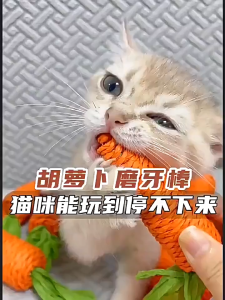 PC-1234 แครอทเชือกของเล่นแมว มี 2 ขนาด ลับเล็บแมว ขัดฟันแมว ราคาถูก พร้อมส่ง😍