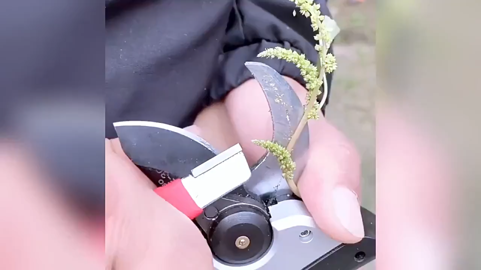 Portable Sharpener Mini Sharpening Stone Handheld Alloy Steel Garden Shear Scissors Sharpening Tool With Lid Multipurpos
