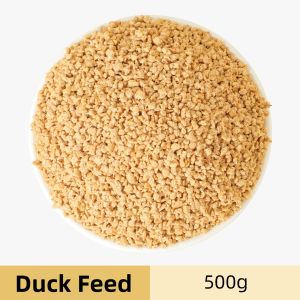 Duckling feed special starter food for small ducks pet multigrain food