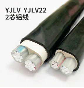 Cáp Hai Lõi Ngoài Trời Bằng Hợp Kim Nhôm Tiêu Chuẩn Quốc Gia Cáp Bảo Vệ Cáp Điện YJLV Cáp Điện YJLV22 Thương Hiệu Bota