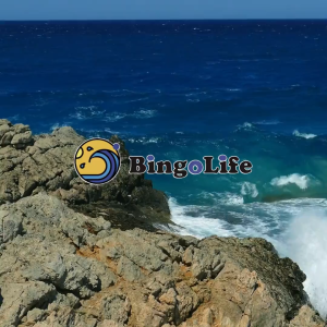 Senar Pancing Bingolife Ultra Siluman - 300m dengan Desain Bintik Ungu - Kekuatan Tinggi