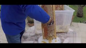 Alat Pengikis Sarang Lebah / skop alat panen madu lebah / Alat ternak lebah cerana melifera original