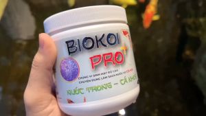 Vi sinh hồ cá koi BIOKOI PRO+ 200g giúp làm trong nước nhanh khử độc tố giảm mùi tanh hôi (1 hũ dùng được cho 100 khối nước)