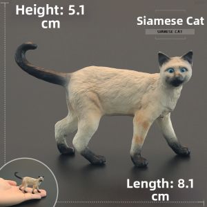 MENGSILE | Educational Simulation Children Toy Siamese Cat Model
