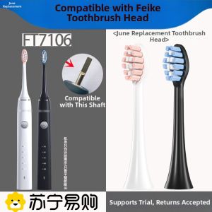 Early June Compatible FLYCO Electric Toothbrush Head FT7106 Special TH01 Replacement Toothbrush Head Deep Cleaning Adult Normal Specification