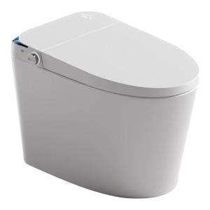 Intelligent Auto Lid Lifting Siphonic Instant Heating Toilet