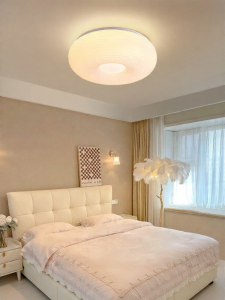 DGY | Modern Simple Ceiling Light BedRoom