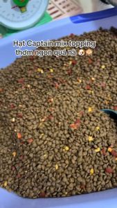 Hạt caption cho chó túi mix 500g 1000g dinh dưỡng phù hợp mọi cân nặng