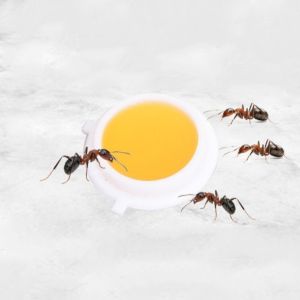 Ubat Lipas Semut / Cockroaches Ants Gel Patch Bait / Killer Cockroach Ant / Pest Control / Cockroaches Bait Trap Lizard Cicak 蟑螂蚂蚁杀手