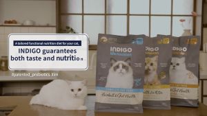 INDIGO BIONUTRITION GUT HEALTH KITTEN สูตรลูกแมว ออร์แกนิค ดูแลลำไส้ กระตุ้นภูมิคุ้มกัน 2 กก.