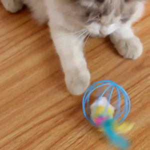 KAKU PET ของเล่นแมว แสนสนุก ให้วิ่งไล่จับ เหมือนเป็นการออกกำลังกายไปในตัว หนูปลอม ตุ๊กตาหนู ของเล่นแมว ของเล่นเเมว ขอเล่นหนู ปลอม ของเล่นแมว สีส่งแบบสุ่ม