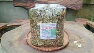cây cơm cháy sấy khô 1KG TẶNG 100G cỏ ngọt