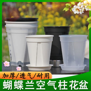 Chậu Thanh Sơn Trong Suốt Chậu Cây Nóng Lan Hồ Điệp Chậu Rễ Thoáng Khí Chậu Hoa Nhựa Trong Suốt Có Thể Nhìn Thấy Gốc Cây