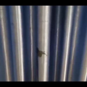 BLIVO 520mlนำเข้าจากญี่ปุ่น ทำความสะอาดโซฟา น้ำยาทำความสะอาดโซฟา sofa cleaner สเปรย์ทำความสะอาดโซฟา น้ำยาซักโซฟา สเปรย์ทำสะอาด