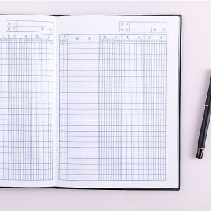 B5 Office Supplies Income And Expense Book Financial Transactions Ledger Family Financial Record Book 16 Open Pages