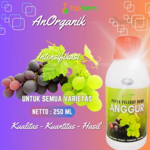Pupuk Anggur Cepat Berbuah / Pupuk Semprot Pelebat Buah Anggur / Pupuk Anggur Cepat Berbuah / Pupuk Pelebat Buah Buahan / Pupuk Booster Buah Anggur
