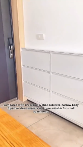 【24 Hours Shipped】Ultra Thin Shoe Cabinet For Household Use Large Capacity And Ultra Narrow Flip Bucket Entrance Cabinet Simple Steel Storage