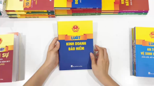 Sách - Luật Kinh Doanh Bảo Hiểm - NXB Lao Động - ND