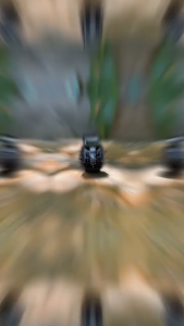 LIGE Jam Tangan Pintar Olahraga Tahan Air Panggilan Bluetooth Pria 420mAh Pemantauan Kesehatan IP68 Jam Tangan Pintar Bisa Cod