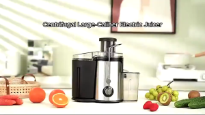 🔥SG🔥Electric Power Juicer Machine 2 Speed Stainless Steel Juice Extractor Household Fruit Vegetable Juicer blender 800W