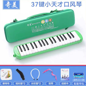 Qimi Professional Accordion for Beginners 32 Keys 41 Keys Suitable for Primary School Students Specialized in Performance