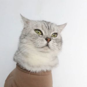 Baju Kucing Cewek Cowok Lucu Murah Gratis Ongkir Murah 5 ribu - BUKIPET WOODLAND TEE
