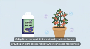 Aptus CaMg-Boost 150ml (Specialty Boosters Bud Booster Bloom Stage Stimulator L-Amino Acids)