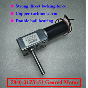 DC12V 24V Powerful Torque Gearmotor Turbo Worm Geared Motor 51mm D-Shaft High Power Reversed Low Speed 70kg.cm Worm Gear Motor