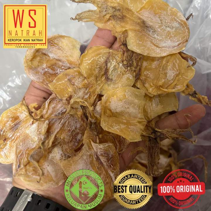 Sotong Kering ( Saiz Sederhana ) / Sotong Kering Terengganu / Sotong