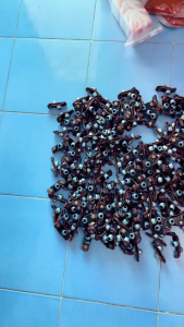 Tạ Chì Đeo Chân Gà Nòi Tập Thể Lực Giúp Chiến Kê Săn Nở Cơ Bắp Đặc Biệt Giảm Mỡ