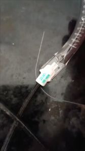 HÀNG MỚI VỀ - Bóng đèn tròn lò nướng công suất 1400W -Bóng nướng thủy tinh nồi chiên không dầu 15cm