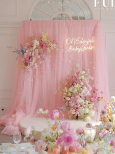 Light Pink Cherry Blossom Powder Jade Pink Cameo Brown Pink Voile Swiss Mesh Mosquito Netting Beauty Salon Ceiling Soft