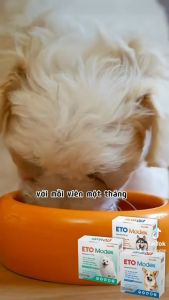 Vemedim ETO Modex - Diệt ve rận bọ chét viêm da do Demodex Sarcoptes cho chó hộp 1 viên/hộp 6 viên