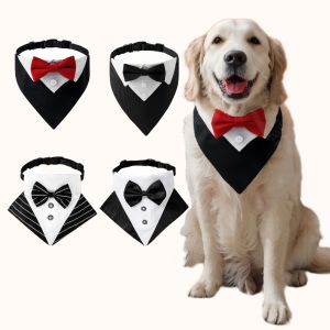 Dog Suit Triangular Binder Wedding Bow Tie Wedding Tie Dog Bow Tie Corgi Golden Retriever Handsome Wedding Tie Photo