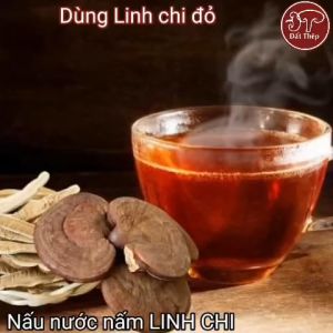 Trà Nấm Linh Chi Đỏ Đất Thép Giống Việt 500g (2 loại: Cắt lát hoặc nguyên tai) - Giải độc gan - Ổn định đường huyết - Hàng chính hãng